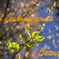 Всех с праздником Весны! :: Валерий Иванович