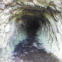 Пещера, или тоннель? :: Natalia Harries