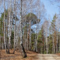 Весенняя горка :: Влад Платов