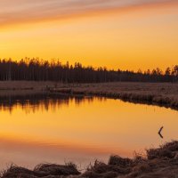 Весенний закат над рекой Тёплая :: Дарья Меркулова