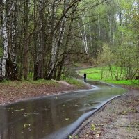 прогулка в дождь :: Валентина. .