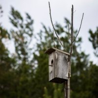 birdhouse :: Vladimir Viktor