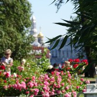 красивые парки Санкт-Петербурга летом :: Anna-Sabina Anna-Sabina