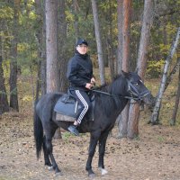 Конный турист... :: Андрей Хлопонин