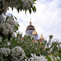 В кипеньи яблонь превосходном предстал пред нами храм Покровский... :: Тамара Бедай 