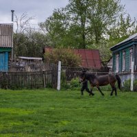 О деревне :: ирина лузгина 