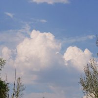 Майские облака. :: сергей 