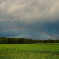 Над грозою торжествует радуга... :: DianaVladimirovna 