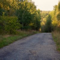 Дорога в живописность :: Андрий Майковский