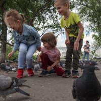 Дети и голуби :: Валерий Михмель 