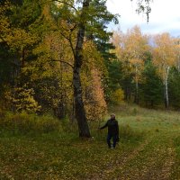 Поход, по осенним  лесам Бугылов. :: Георгиевич 