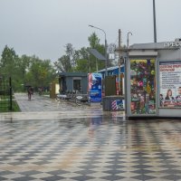 Под дождём :: юрий поляков
