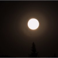 Луна...Луна... :: Александр Шимохин
