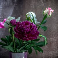 Букет весенних цветов :: Олег Соболев