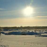 У ДОРОГИ. :: Виктор Осипчук