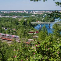 Вид на Ухту с горы Ветлосян,Республика Коми. На Крайнем Севере +27,обильно цветёт рябина и шиповник :: Николай Зиновьев