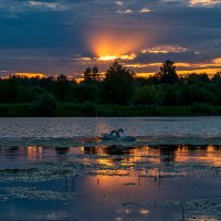 Минщина. Сегодняшнее... :: Aliaksandr Panchanka