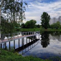 Взгляд на пруд с двух диаметрально противоположный точек - 2 :: Андрей Лукьянов