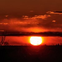 Белое солнце на закате в золотой ауре :: Анатолий Клепешнёв