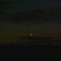 лунный закат :: Alisa Koteva 