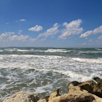 Азовское море :: Вера Щукина
