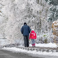 Гуляла внучка с дедом, раннею зимой... :: Анатолий Клепешнёв