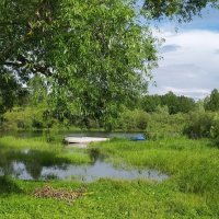 Река Ипуть :: Надежда Буранова 