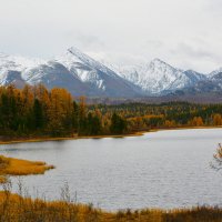 Озеро в горах. :: Валерий Медведев