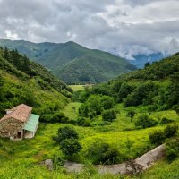 Жизнь на природе :: Валерий Т