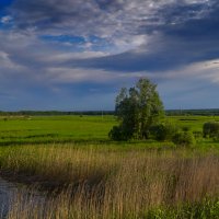 На рассвете... :: Оксана Галлямова