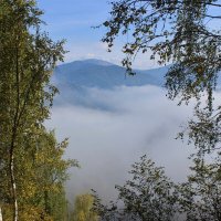 Утренний туман :: Сергей Чиняев 
