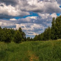 Облака на лесом. :: Андрей Дворников
