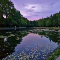 жара...вечер :: Валентина. .