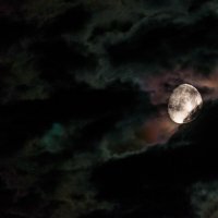 Луна в предверии суперлуния :: Анатолий Клепешнёв