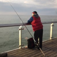 Ловись рыбка,большая и маленькая! :: Нина Андронова
