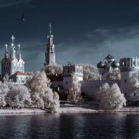 Новодевичий монастырь в инфракрасном :: Андрей Воробьев