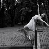 Линии гимнастики :: Юлия Бар