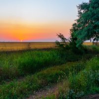 Летний восход солнца в крымской степи. :: Андрей Козлов