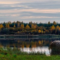 Осень на озере :: Анатолий Клепешнёв