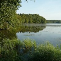 Озеро :: Вера Щукина
