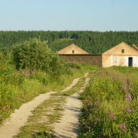 В окрестностях Ухты. :: Александр Ульныров