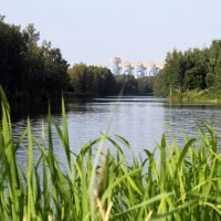Река Глухарка в Приморском районе Санкт-Петербурга. :: Евгений Шафер
