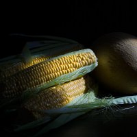 натюрморт с кукурузой :: Александр 
