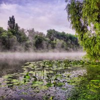 утро на реке :: юрий иванов 