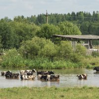 Освежаются... :: Алексей Сметкин