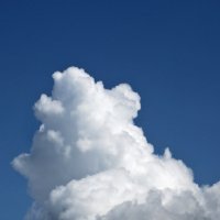Интересное облако... На что похоже? :: Светлана 