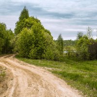 Ближайшее подмосковье :: Дмитрий Балашов