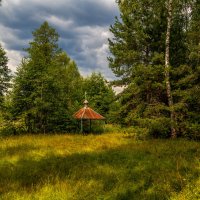Колодец в лесу :: Андрей Дворников