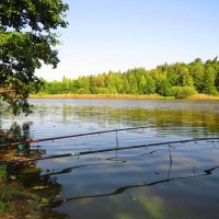 Рыбалка на озере :: Андрей Снегерёв