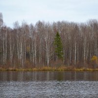 МОЯ ДЕРЕВНЯ, на речке. :: Виктор Осипчук